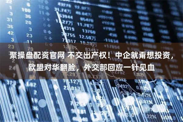聚操盘配资官网 不交出产权！中企就甭想投资，欧盟对华翻脸，外交部回应一针见血